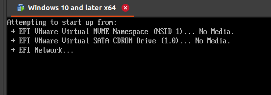 efi.png
